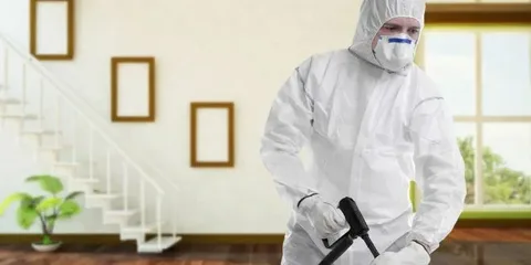 شركة مكافحة حشرات بالرياض