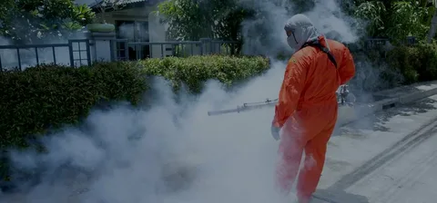 مكافحة الدفان بالخرج