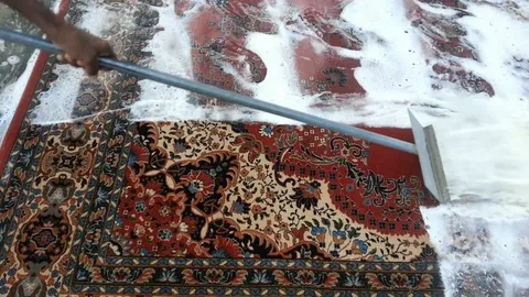 شركة نظافة عامة بالرياض